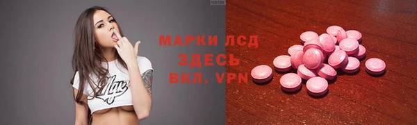 прущие грибы Володарск