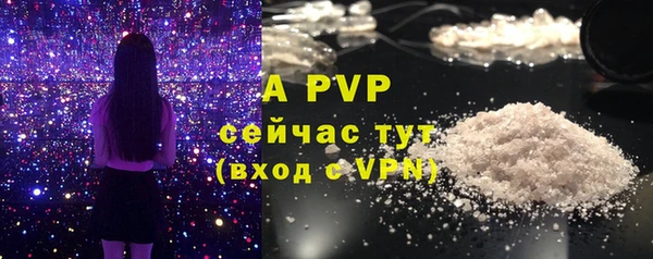MDMA Premium VHQ Тайга