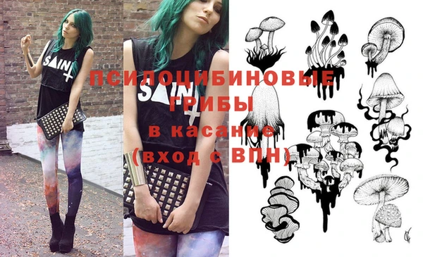 прущая мука Бородино